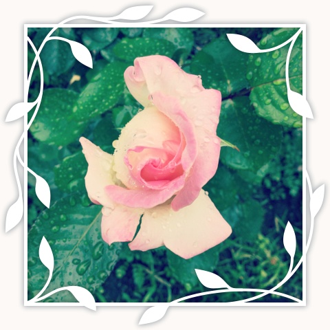 Princesse de Monaco