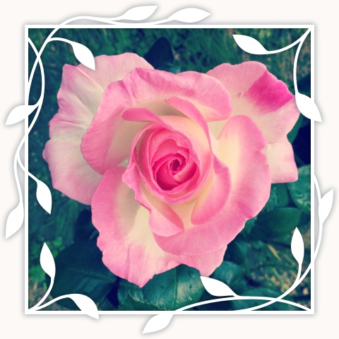 Princesse de Monaco