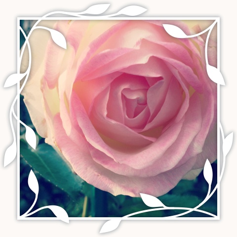 Princesse de Monaco