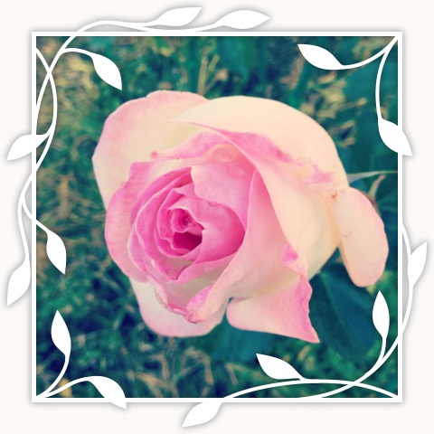 Princesse de Monaco