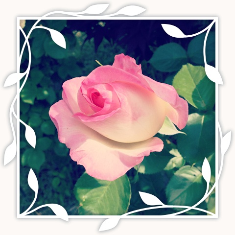 Princesse de Monaco