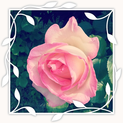 Princesse de Monaco