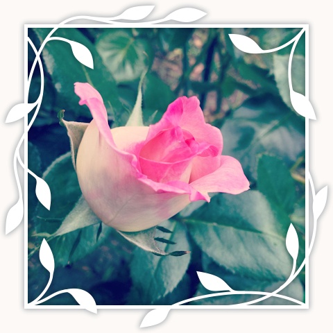 Princesse de Monaco