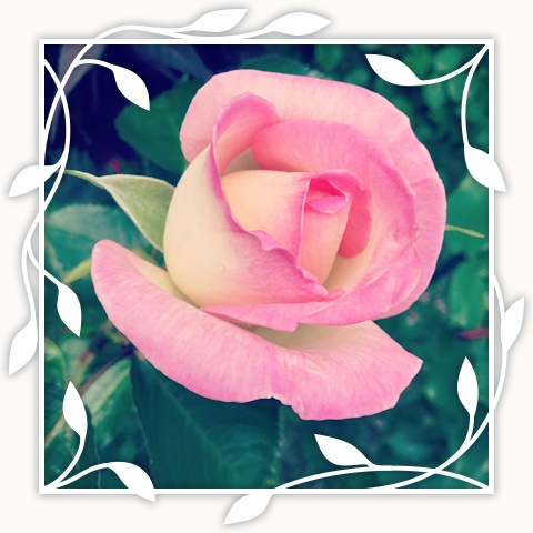 Princesse de Monaco