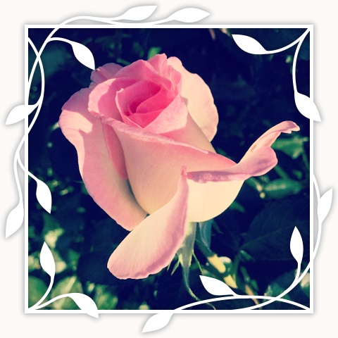 Princesse de Monaco