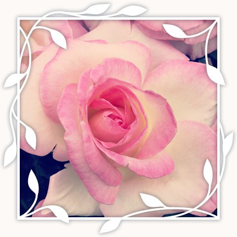 Princesse de Monaco